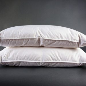Luxury Twin Pack Duck Feather & Down Pillows