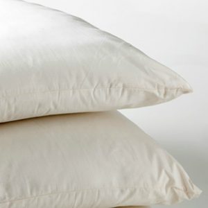 Duck Feather Cushion Pad Filler 2 pack 22"x22" (55cmx55cm)