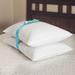 Luxury Twin Pack Soft Touch Microfibre Pillows